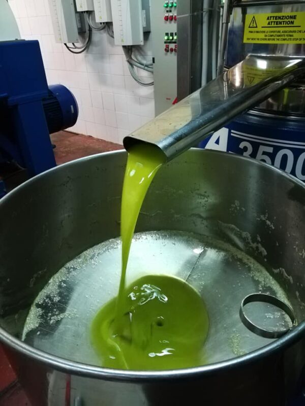 olio