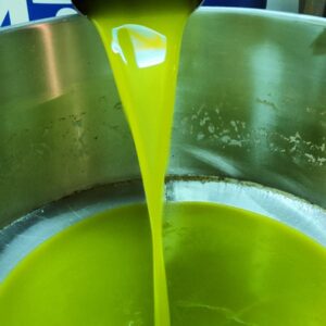 Olio evo Nocellara 2025/26